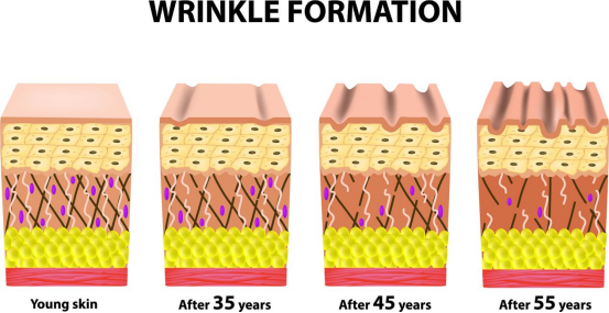 image.png image.png